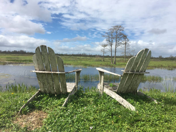 istock chairs in the swamp 984790960