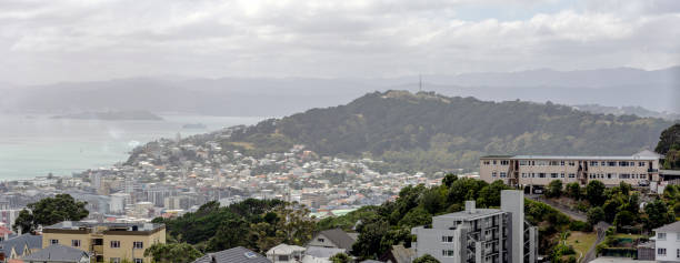 istock Wellington, New Zealand 984792086