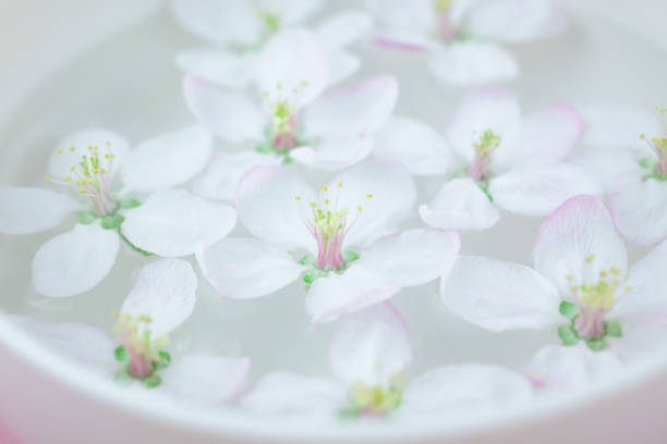 istock White flowers floating in water 984792914