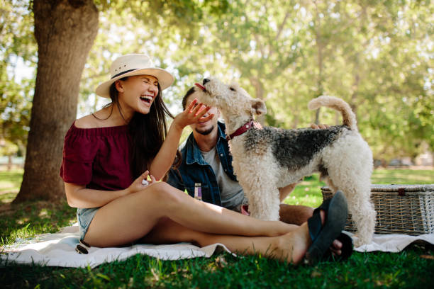 istock Couple having fun with their pet on picnic 984793392