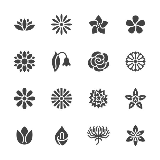 illustrations, cliparts, dessins animés et icônes de icônes de fleurs de glyphe plat. plantes de jardin magnifiques - tournesol, fleur rose, lotus, camomille, fleur d’oeillet, pissenlit, violet. indications pour le magasin de fleurs. pixel solide silhouette parfaite 48 x 48 - daisy sunflower