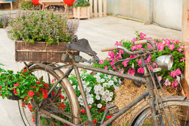 istock Old bike and decorated with flowers. 984819670