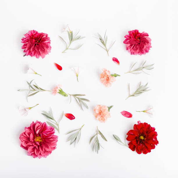 istock Festive flower composition on the white wooden background. Overhead view 984845572