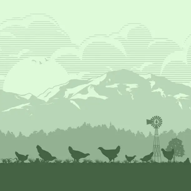 Vector illustration of Silhouette of a flock of chicken in meadow at sunrise, Vector