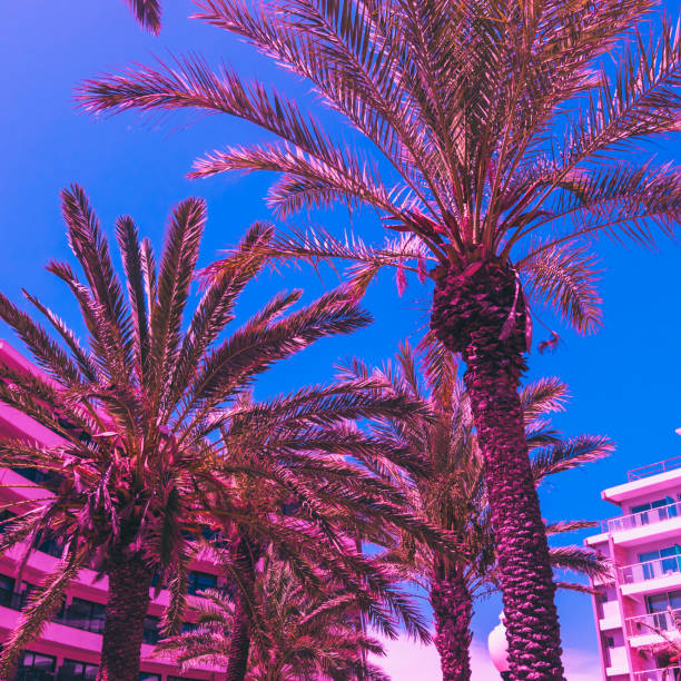 istock pink palm trees  and hotel against the deep blue sky. 984846640