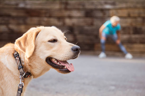 istock Woman running with her dog 984862618