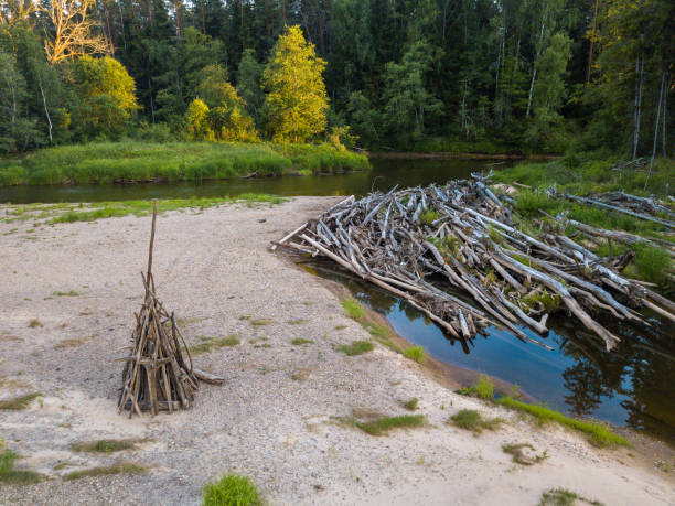 istock Ligo bonfire in midsummer.  Latvia, Gauja river beach. 984864914