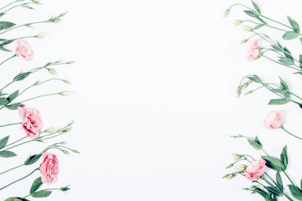 istock Floral flat lay frame of pink flowers on white background 984898348