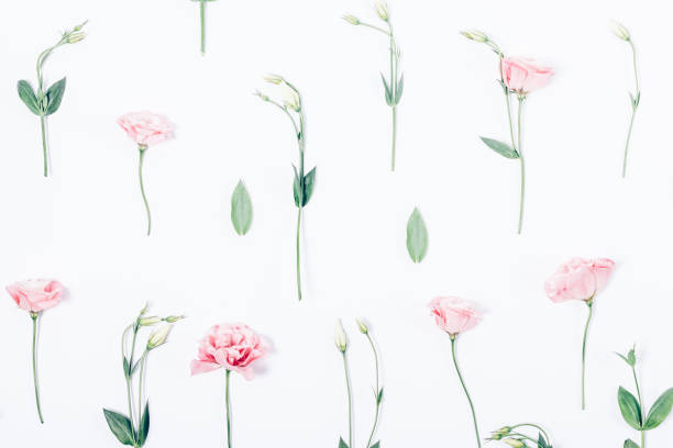 istock Floral pattern made of pink flowers, leaves and buds 984898366