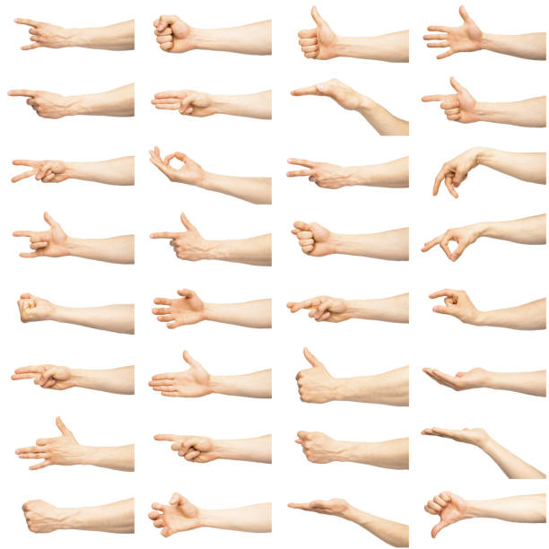 istock Multiple male caucasian hand gestures isolated over the white background 984904566