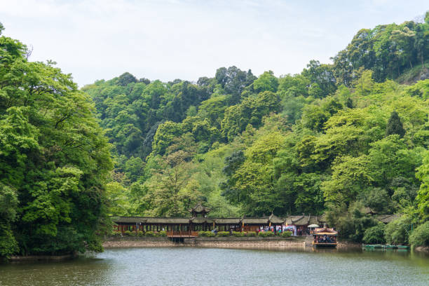 istock Water surface and vegetation of qingcheng mountain 984973554
