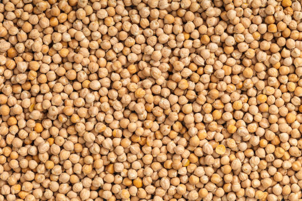 istock texture of raw chickpeas close-up 984974168