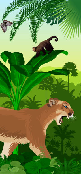вектор джунглей тропических лесов вертикальный зана с пумой пумы (puma concolor) или горный лев, обезьяна обезьяна капуцин и морфо бабочка - brown capuchin monkey stock illustrations