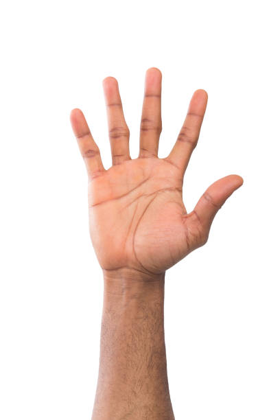 istock Black male palm making stop or protest sign, isolated on white 985007200