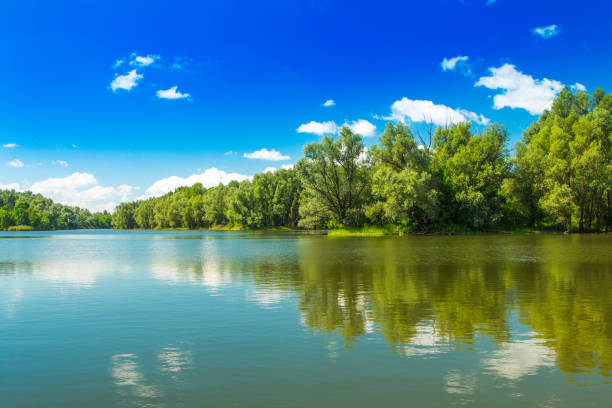 istock Kopacki rit, Slavonia, Croatia 985014592