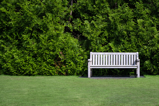An empty wooden bench on the right of a green field with a background of green big bush and space on the left to be filled in. A lonely seat with no man sitting on.  Soft green grass on the ground.