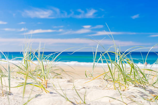 istock The beach an an amazing calm day with blue water 985017274
