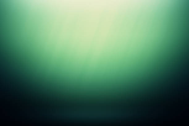 istock Underwater sea ocean background photo 985022784