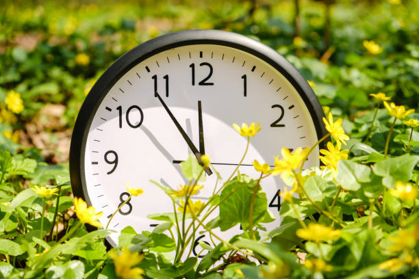 istock Clock on green grass, on nature background, deadline alarm concept 985022870