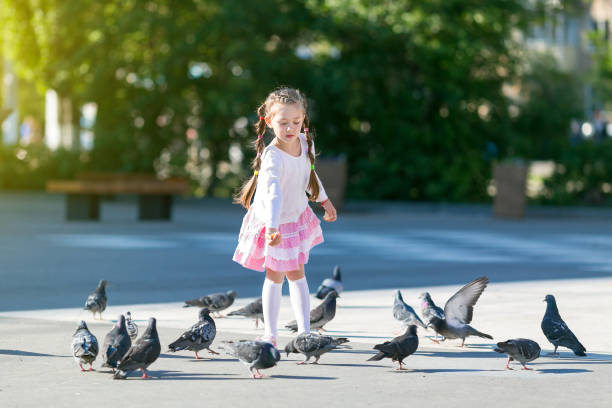 istock A little girl feeds pigeons. 985022956