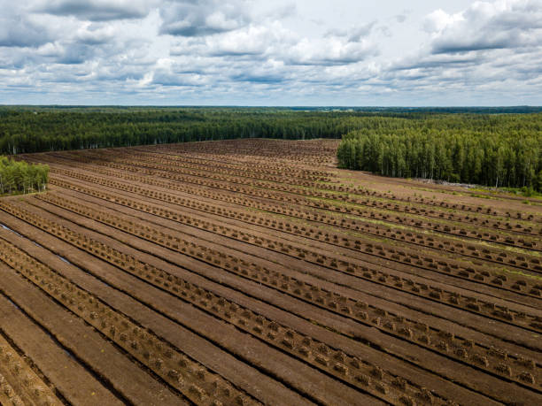 istock drone image. aerial view of rural area with fields of turf development 985025368