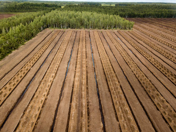 istock drone image. aerial view of rural area with fields of turf development 985025392