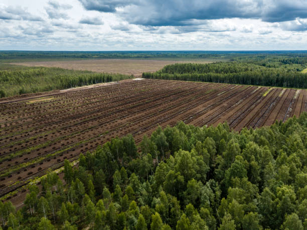 istock drone image. aerial view of rural area with fields of turf development 985025432