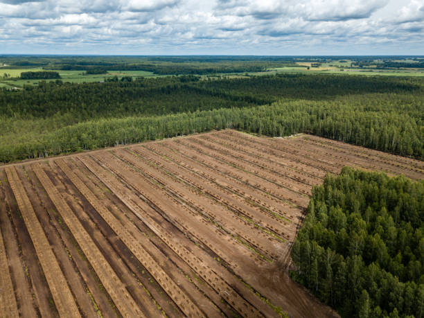 istock drone image. aerial view of rural area with fields of turf development 985025474