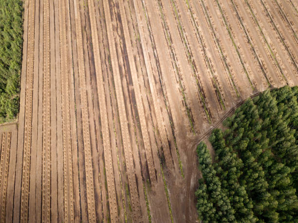 istock drone image. aerial view of rural area with fields of turf development 985025516