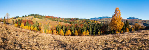 istock Autumn Carpathian village, Ukraine. 985028524