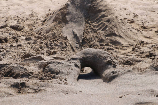 istock mountain of wet sand 985028602