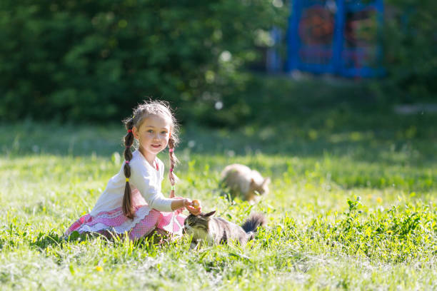 istock The girl feeds the stray cat. 985028762