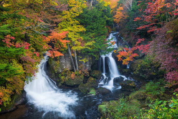 cascata di ryuzu in autunno. il più preferito per i turisti a nikko - water beauty in nature waterfall nikko foto e immagini stock