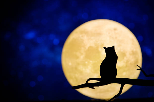 istock Full moon in the night sky 985032542