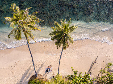 Couple sitting on the tropical beach under two palm trees