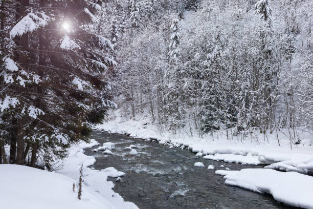 istock A mountain torrent in the winter Carpathians 985038292