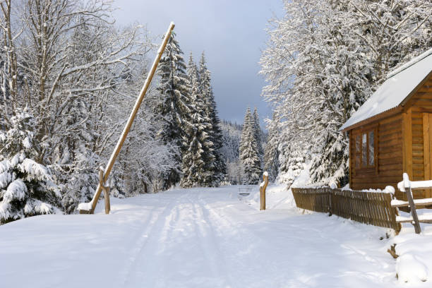 A road near the checkpoint in the snow covered forest.