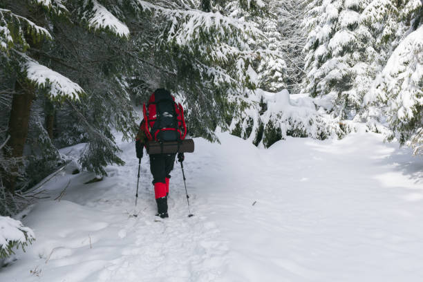 istock A hiker on the path to the depth of the winter forest 985038432