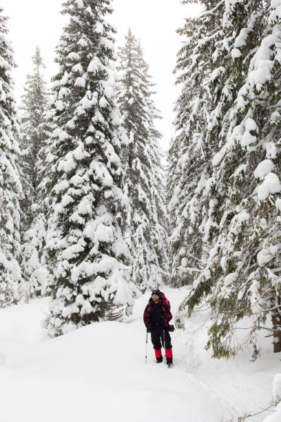 istock A backpacker among the snowy fir trees 985038506