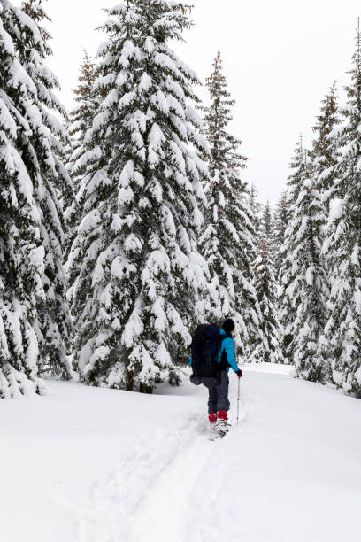 istock A hiker continues his journey on a winter forest 985038606