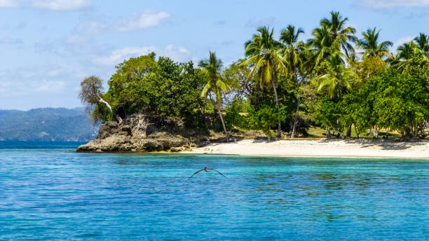 istock Paradise island with white beach, palm trees and turquoise waters 985042684