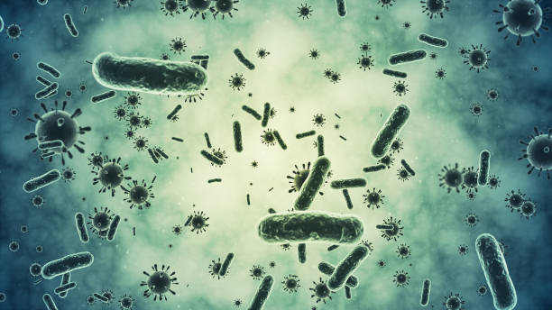 zbliżenie bakterii - bacterium e coli pathogen micro organism zdjęcia i obrazy z banku zdjęć