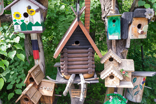 A wooden birdhouses made by children with their own hands for the exhibition in which the birds live, are painted creatively in different colors against the background of green leaves
