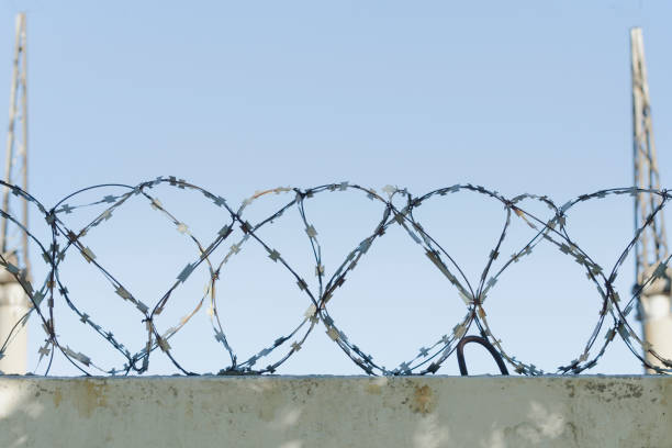 istock Barbed wire and blue sky in the background. Close-up 985051242