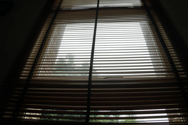istock wood blind shade curtain and shadow tree background 985057242