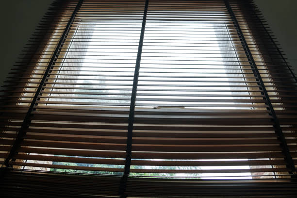istock wood blind shade curtain and shadow tree background 985057340