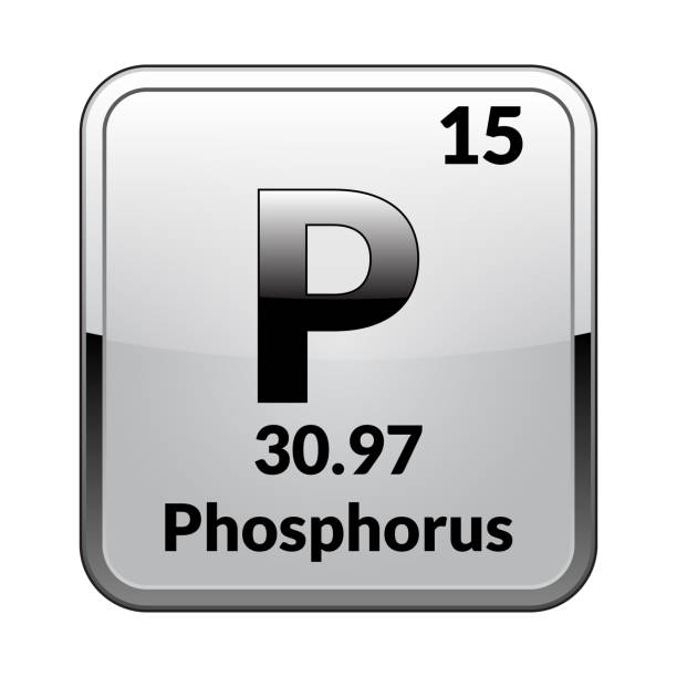 Более 710 работ на тему "Symbol For Phosphorus": стоковые иллюстрации, векторная