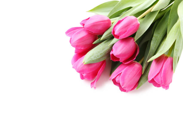 istock Bouquet of pink tulips isolated on a white 985064340