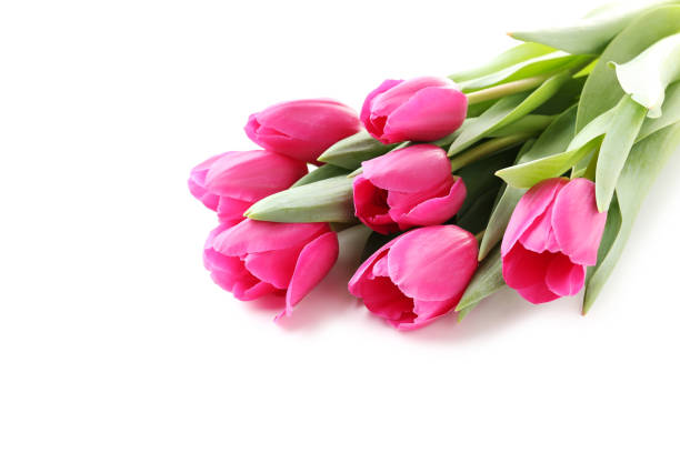 istock Bouquet of pink tulips isolated on a white 985064556
