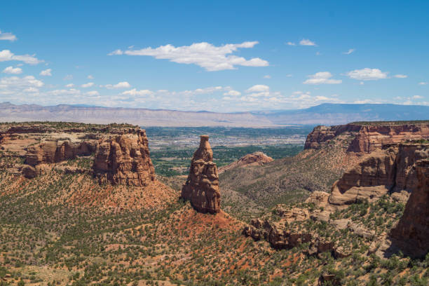 Ghost Ranch, NM; Chamisa/Rabbit Brush and Rock Cliffs